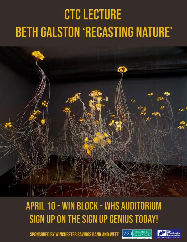 Beth Galston Poster (1)